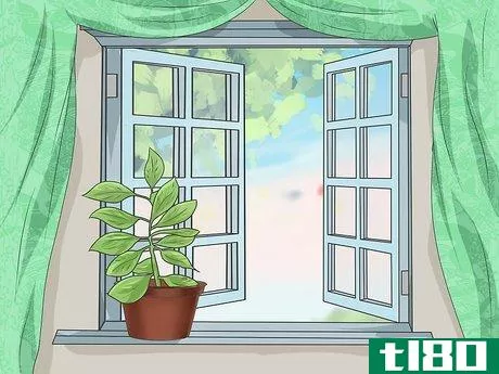 Image titled Bring Plants Indoors over Winter Step 8