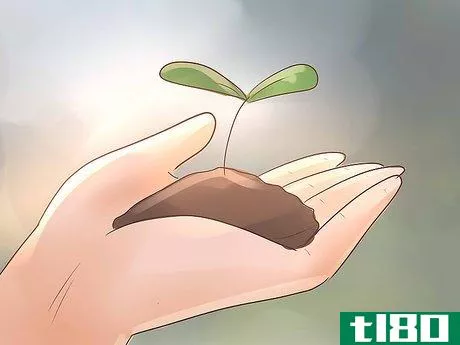 Image titled Become a Botanist Step 6