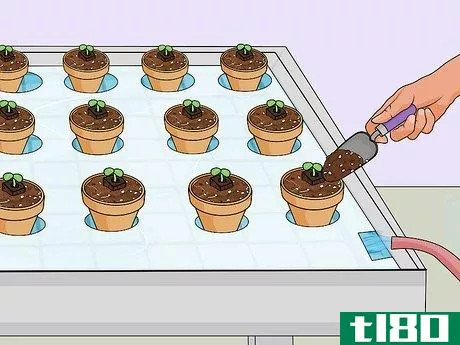Image titled Build a Hydroponic Garden Step 15