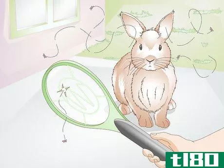 Image titled Prevent Fly Strike in Rabbits Step 12