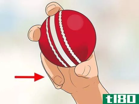 Image titled Bowl in Cricket Step 5
