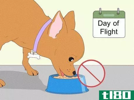 Image titled Prepare Your Dog for a Flight in Cabin Step 10