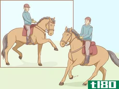 Image titled Become a Riding Instructor or Coach Step 6