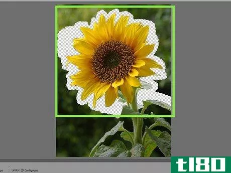 Image titled Remove Background With Photoshop Elements Step 16