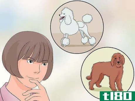 Image titled Become a Dog Groomer Step 6