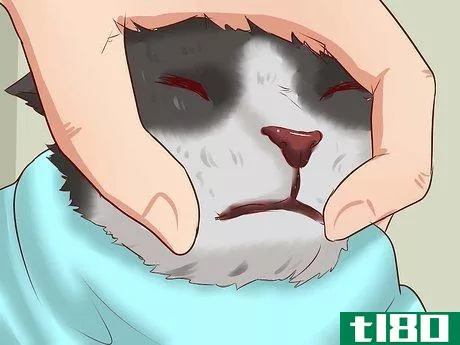 Image titled Open a Cat's Mouth Step 5