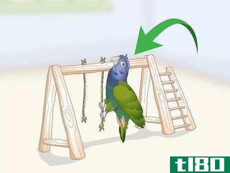 Image titled Bond with a Pionus Parrot Step 9