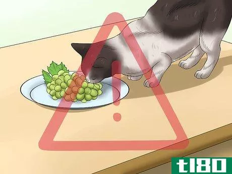 Image titled Protect Your Cat from Holiday Hazards Step 1