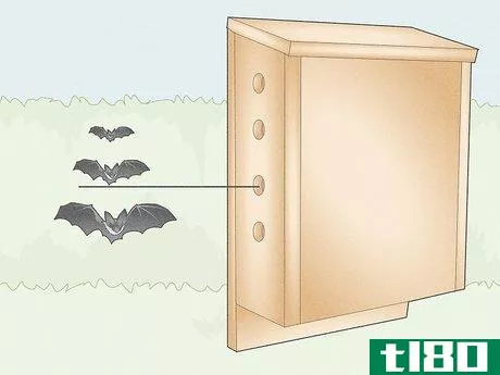 Image titled Build a Bat Box Step 1