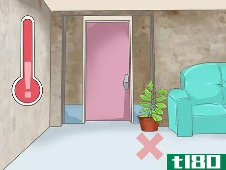 Image titled Bring Plants Indoors over Winter Step 6