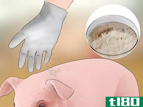 Image titled Prevent Lice and Mites Infesting Your Pigs Step 10