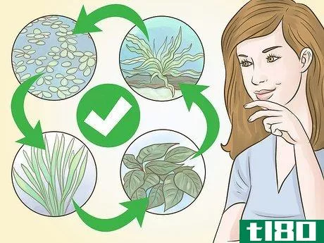Image titled Pick Freshwater Plants Step 11
