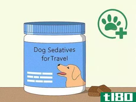 Image titled Prepare Your Dog for a Flight in Cabin Step 7