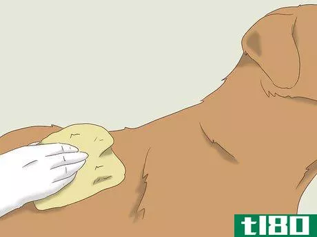 Image titled Remove Ticks from Furry Pets Step 8