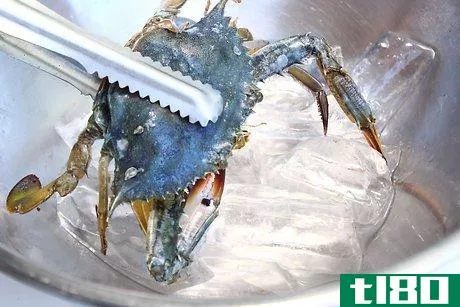 Image titled Boil Blue Crab Step 4