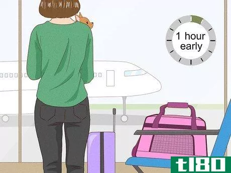 Image titled Prepare Your Dog for a Flight in Cabin Step 13