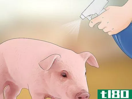 Image titled Prevent Lice and Mites Infesting Your Pigs Step 9
