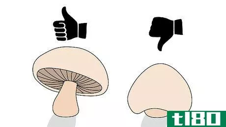 Image titled Pick Mushrooms Step 2