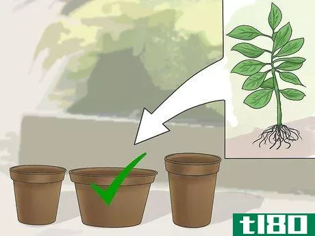 Image titled Bring Plants Indoors over Winter Step 3