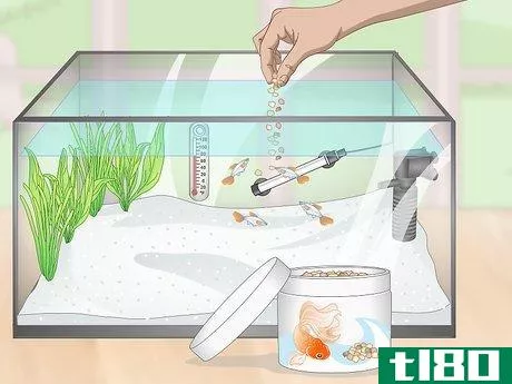 Image titled Prevent Fish From Getting Sick Step 11