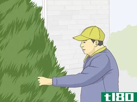 Image titled Put Up a Christmas Tree Step 4