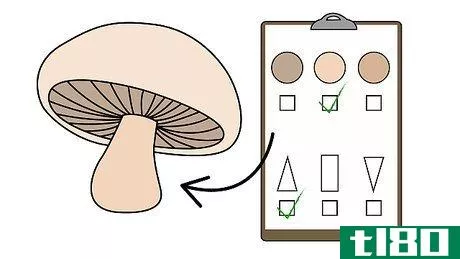 Image titled Pick Mushrooms Step 9