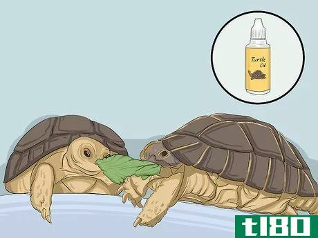 Image titled Breed Turtles Step 4