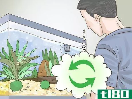 Image titled Pick Freshwater Plants Step 8