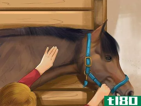 Image titled Bond With Your Horse Using Natural Horsemanship Step 7