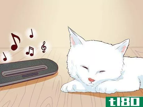 Image titled Put a Hyper Kitten to Sleep Step 2
