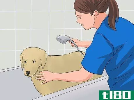 Image titled Become a Dog Groomer Step 4