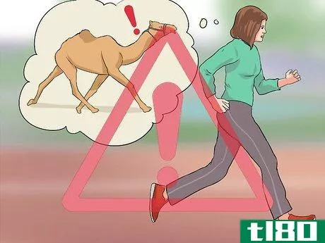 Image titled Regain Control of a Spooked Camel Step 12