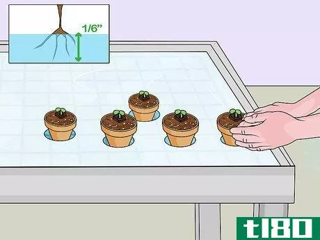 Image titled Build a Hydroponic Garden Step 13