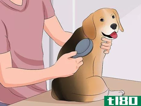 Image titled Become a Dog Groomer Step 2