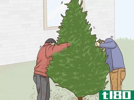 Image titled Put Up a Christmas Tree Step 7