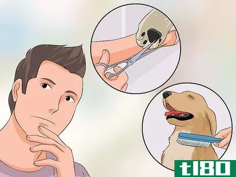 Image titled Become a Dog Groomer Step 1