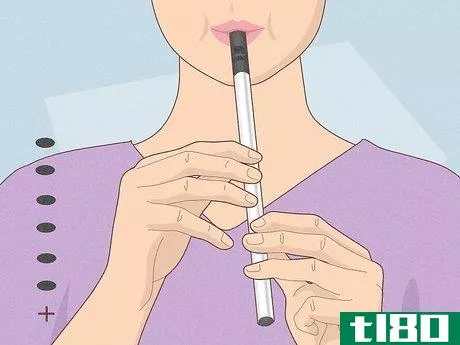Image titled Play the Tin Whistle Step 5