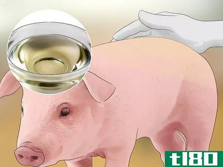 Image titled Prevent Lice and Mites Infesting Your Pigs Step 11