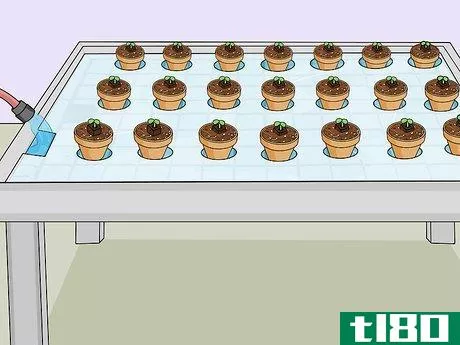 Image titled Build a Hydroponic Garden Step 14