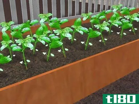 Image titled Build Raised Vegetable Garden Boxes Step 8
