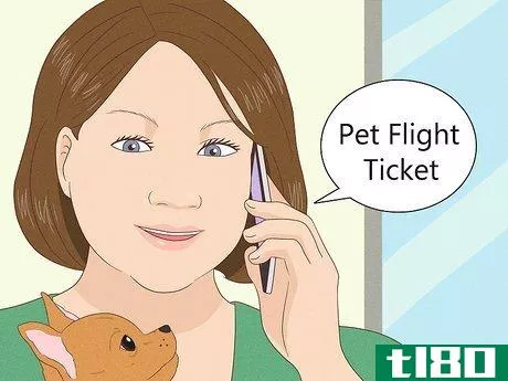 Image titled Prepare Your Dog for a Flight in Cabin Step 3