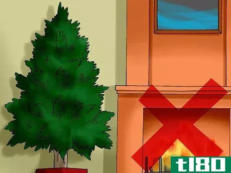 Image titled Plant a Living Christmas Tree Step 3
