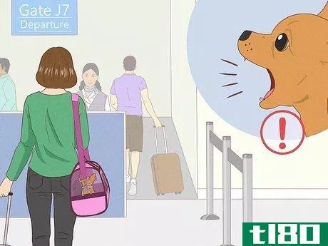 Image titled Prepare Your Dog for a Flight in Cabin Step 15