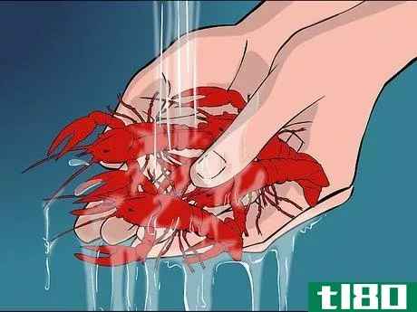 Image titled Boil Crawfish Step 2