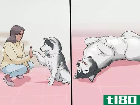 Image titled Bond with a Needy Dog Step 3