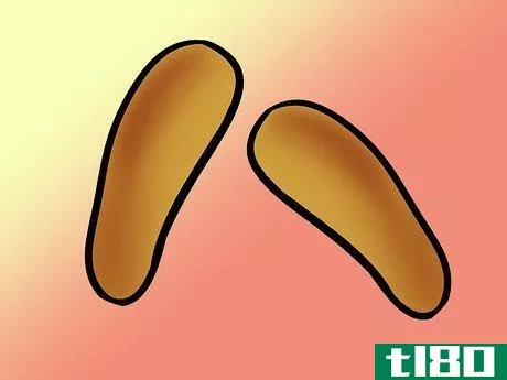 Image titled Build Shoe Insoles Step 5