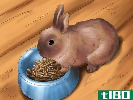 Image titled Raise a Healthy Bunny Step 5