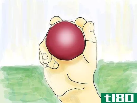 Image titled Bowl the Leg Spinner's Variations Step 1