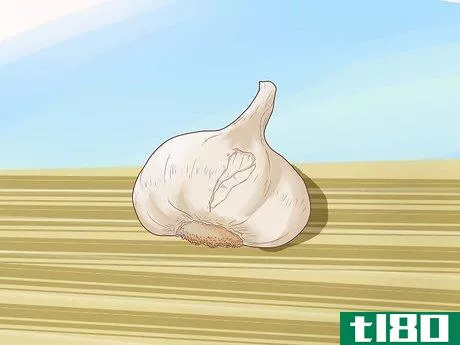 Image titled Plant Garlic Step 12
