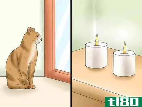 Image titled Protect Your Cat from Holiday Hazards Step 12